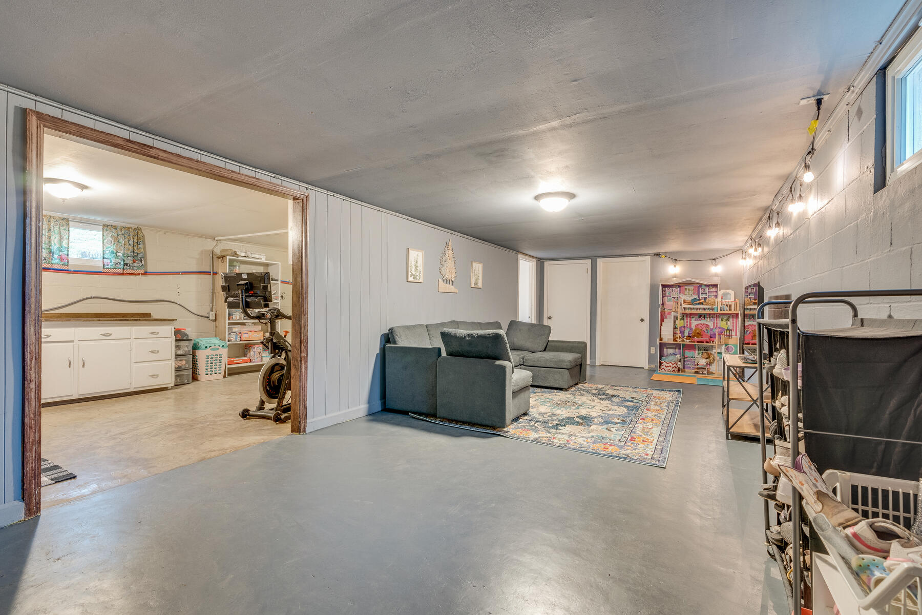 264 Buttermilk Road Gray, TN 37615 - Photo 22 of 34 Basement View from Door
