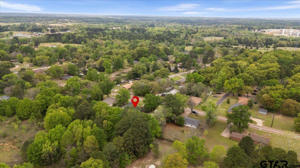 3022 West Rose Street Tyler, TX 75701 - Photo 45 of 46 a view of a city with lush green forest