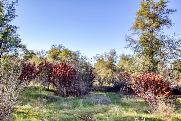 a view of lake from a house
