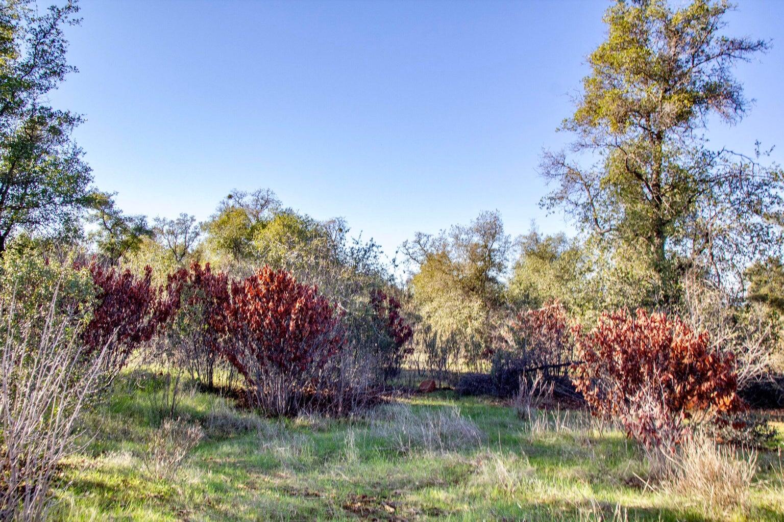 Winoxy 093-130-039-000 Lane Shingletown, CA 96088 - Photo 11 of 29 a view of lake from a house