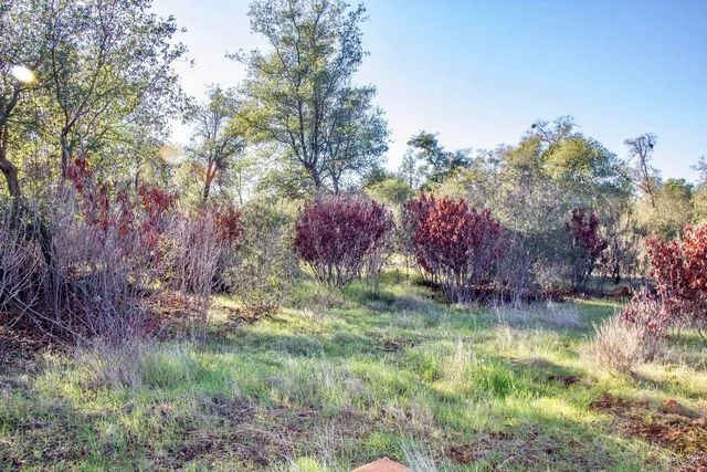 a backyard of a house with lots of green space