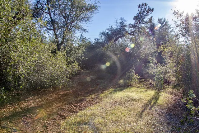 a view of swimming pool with a yard