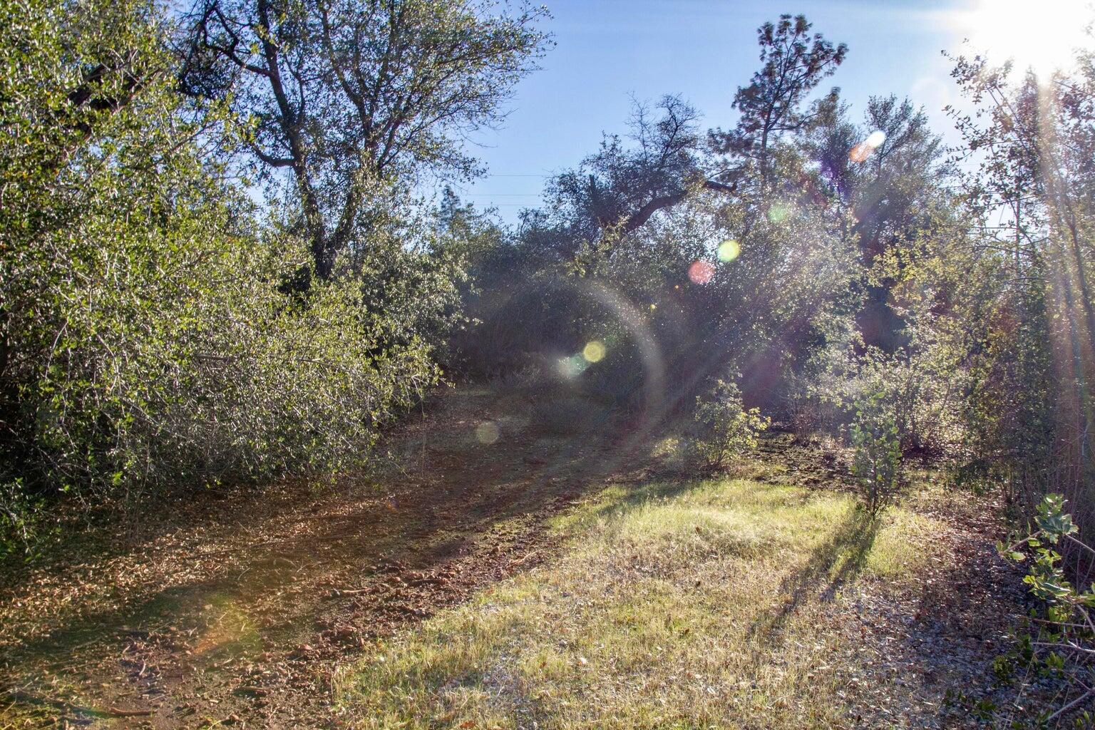 Winoxy 093-130-039-000 Lane Shingletown, CA 96088 - Photo 15 of 29