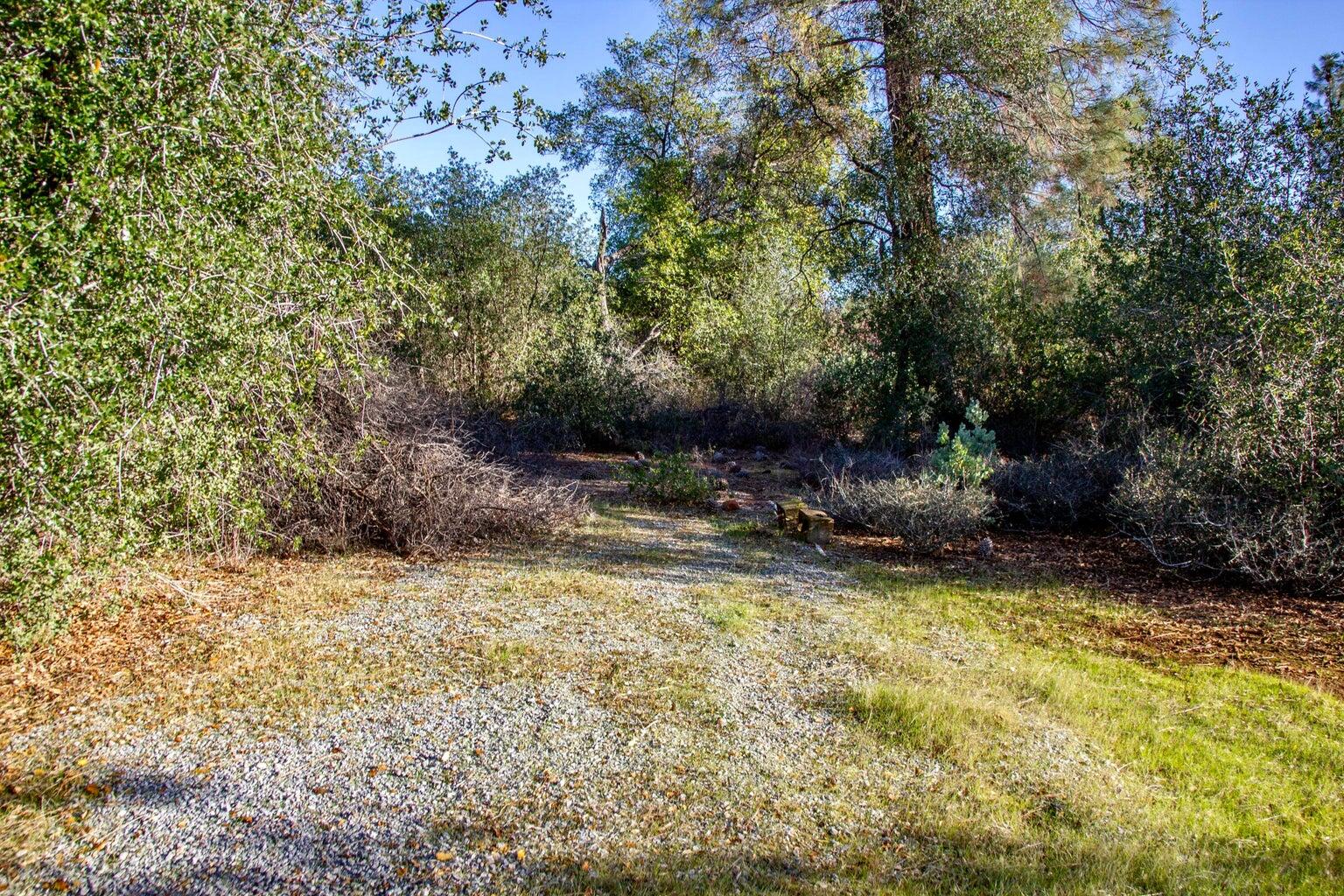 Winoxy 093-130-039-000 Lane Shingletown, CA 96088 - Photo 16 of 29 a view of swimming pool with a yard