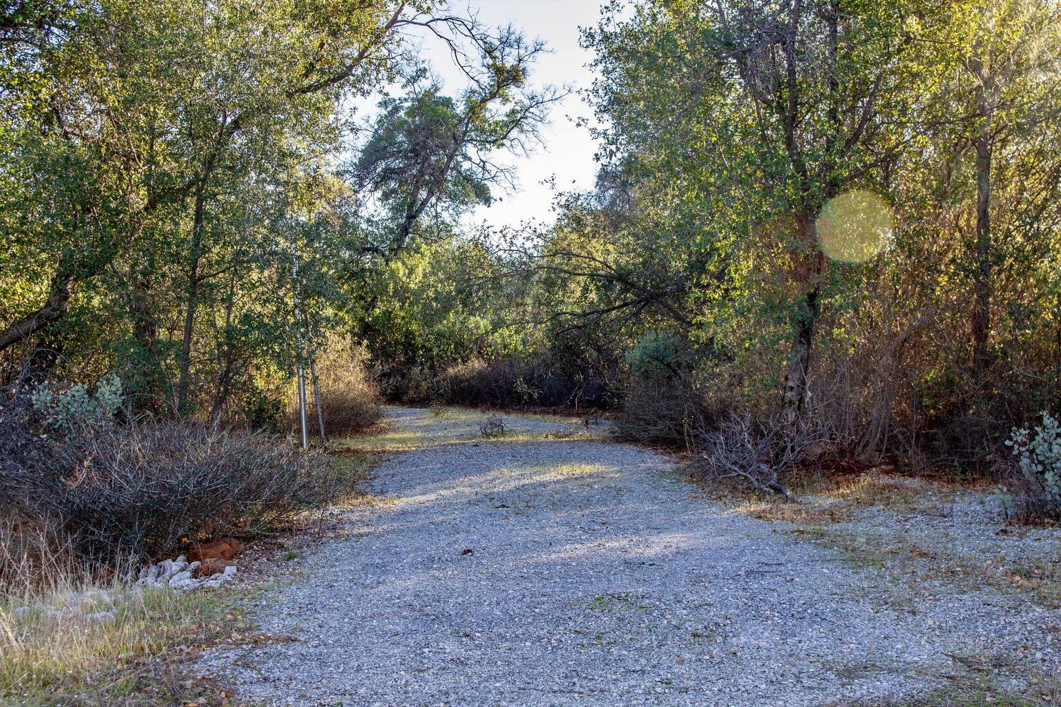 Winoxy 093-130-039-000 Lane Shingletown, CA 96088 - Photo 2 of 29 a view of a dry yard with trees