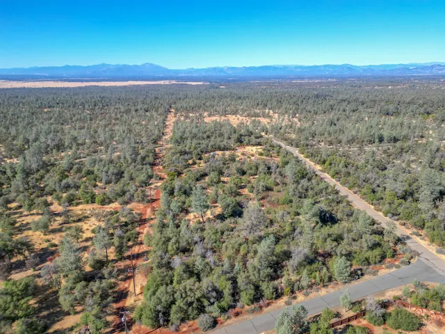 a view of a dry yard with trees