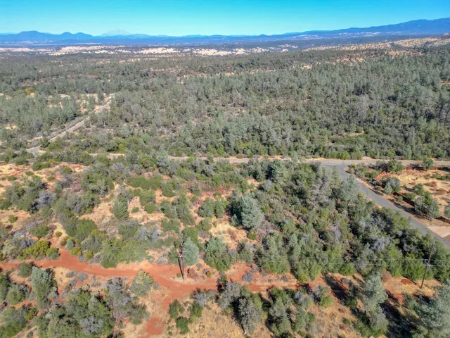 a view of a field with a tree in the background