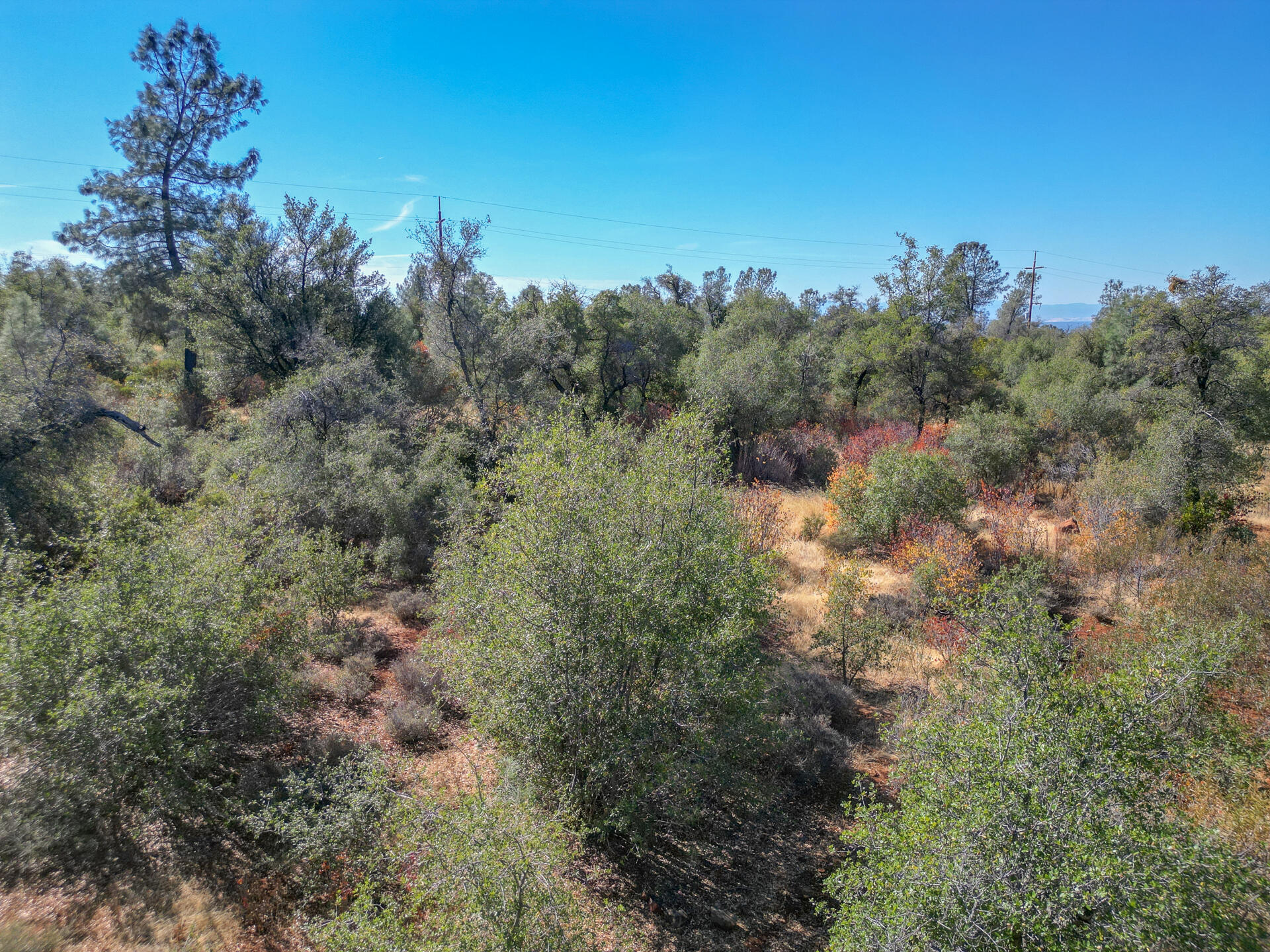 Winoxy 093-130-039-000 Lane Shingletown, CA 96088 - Photo 25 of 29 a view of a field with a tree in the background