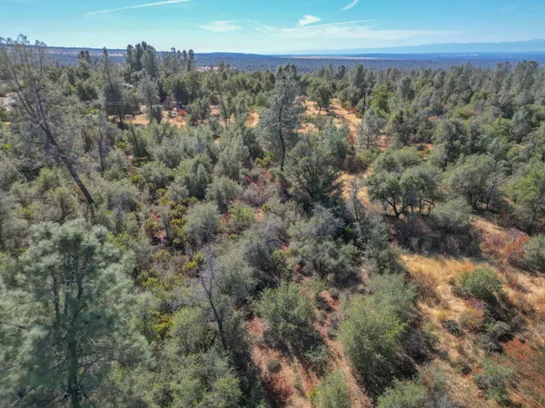 $98,000 | Winoxy 093-130-039-000 Lane, Shingletown, CA 96088