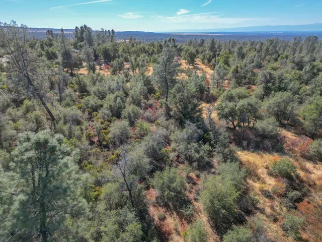 $98,000 | Winoxy 093-130-039-000 Lane, Shingletown, CA 96088