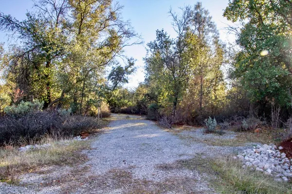 a view of a dry yard with trees