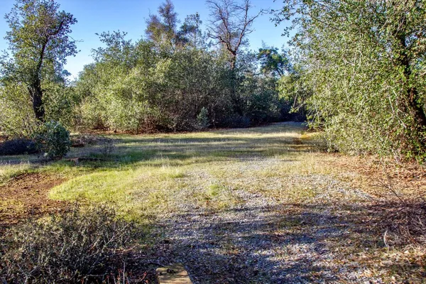 a view of a yard with an outdoor space