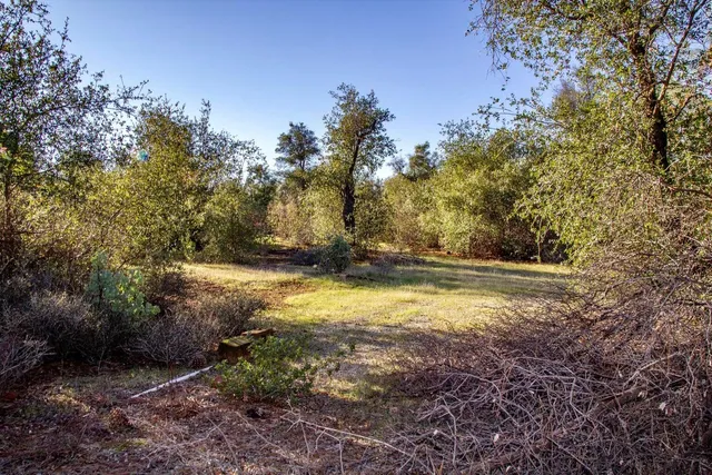 a view of outdoor space with trees all around