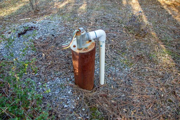 a view of a bird bath tub