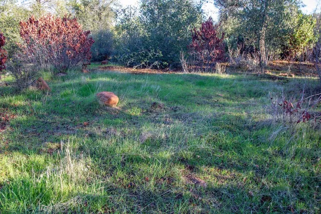 a backyard of a house with lots of green space and plants