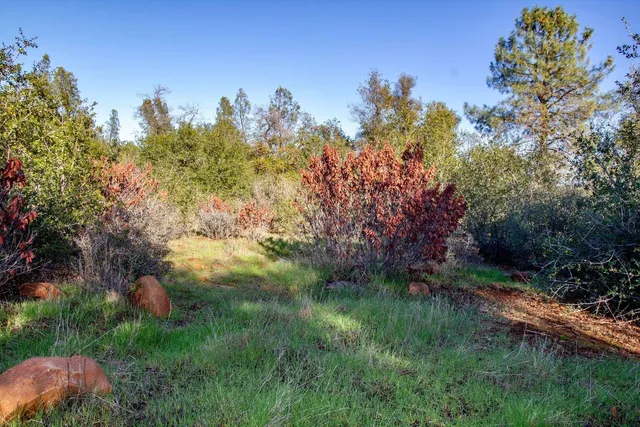 a backyard of a house with lots of green space