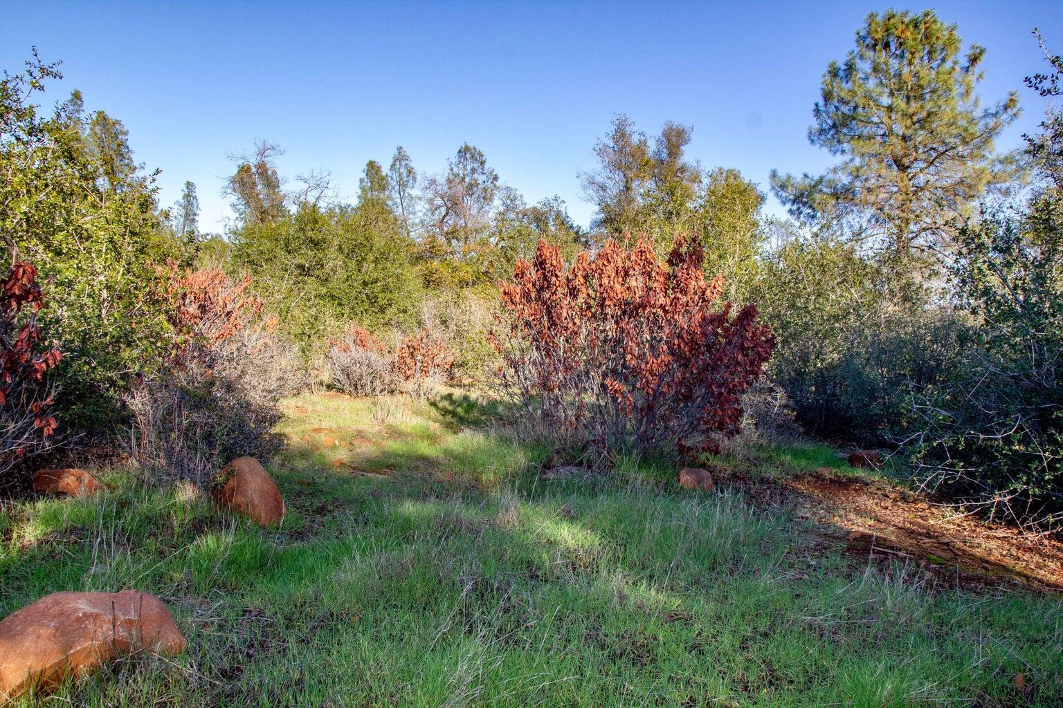 Winoxy 093-130-039-000 Lane Shingletown, CA 96088 - Photo 10 of 29 a backyard of a house with lots of green space