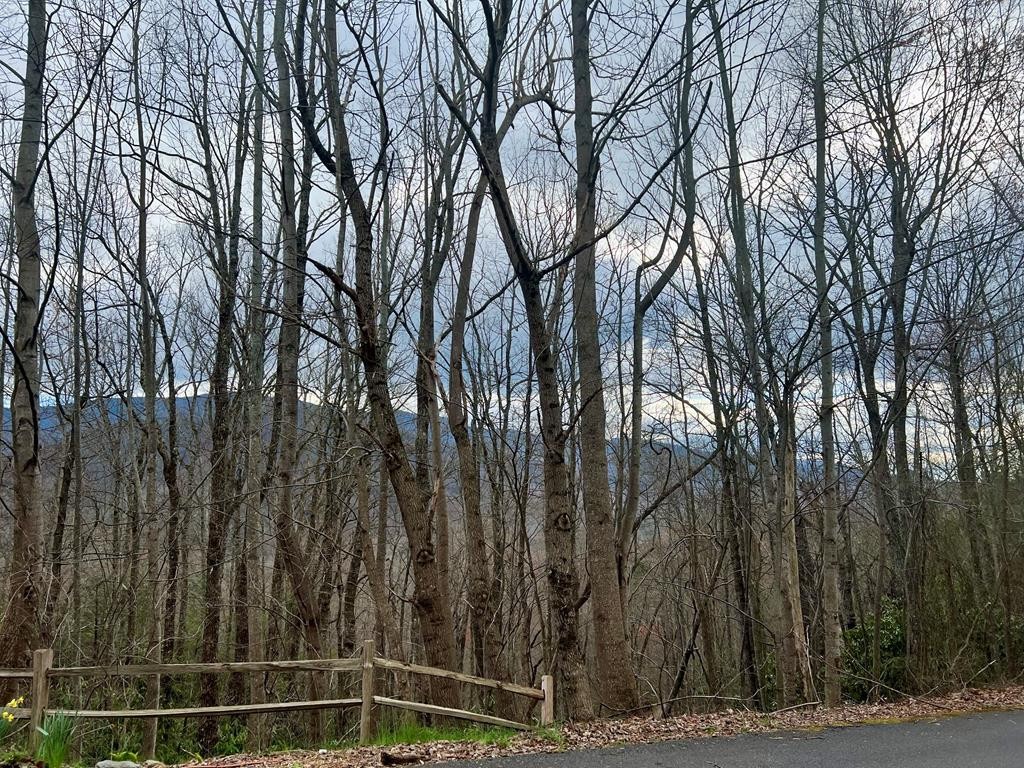 28 Sonshine Ridge Road Cosby, TN 37722 - Photo 15 of 21 Gallery Image 15