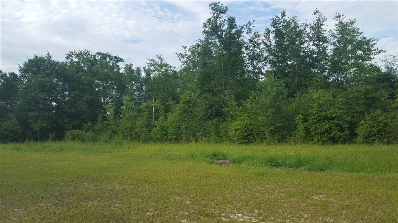 305 Southeast Corinth Church Road Lee, FL 32059 - Photo 16 of 18 Gallery Image 16