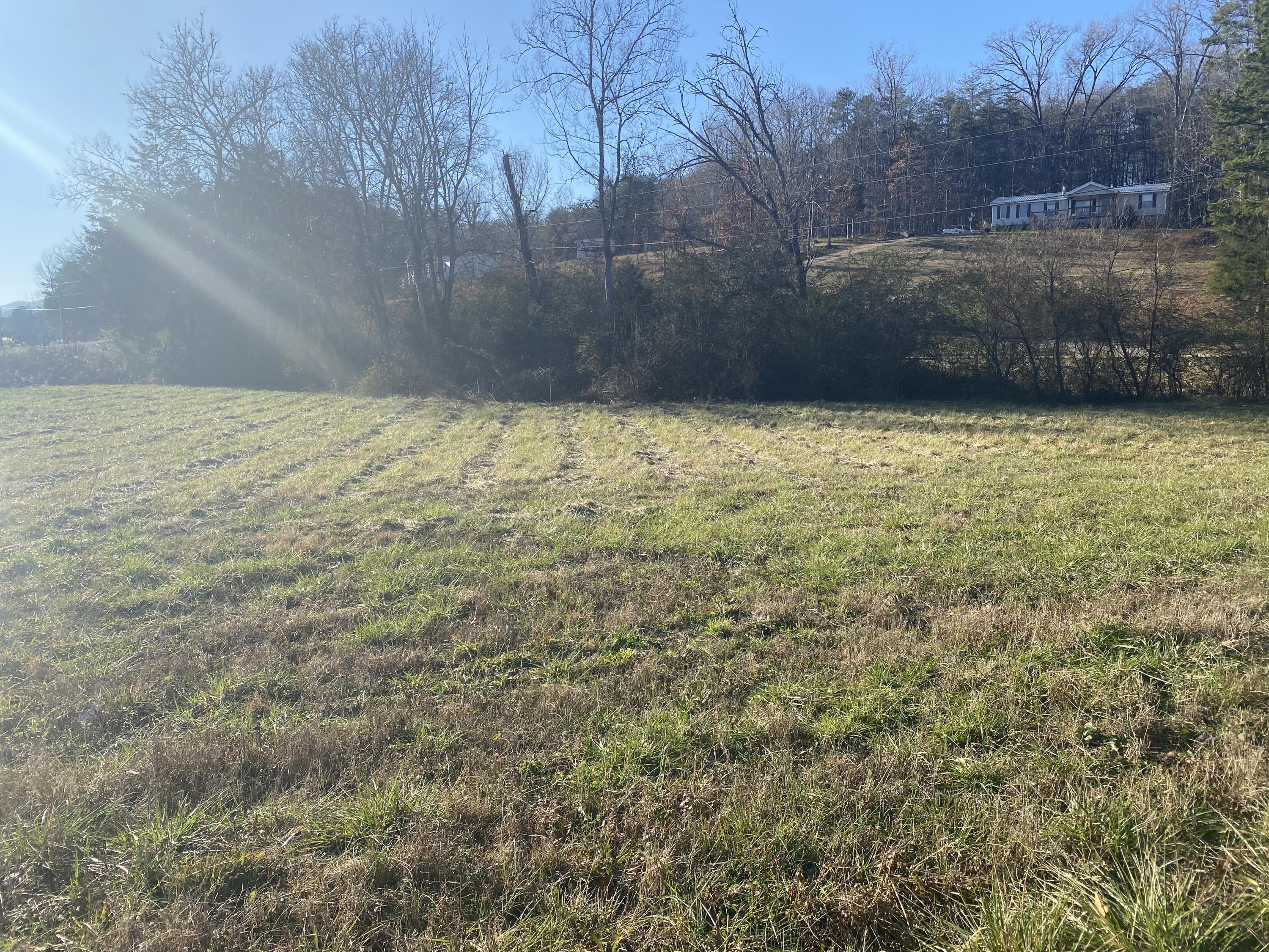 JD Farm Road Tellico Plains, TN 37385 - Photo 1 of 2 IMG-0237