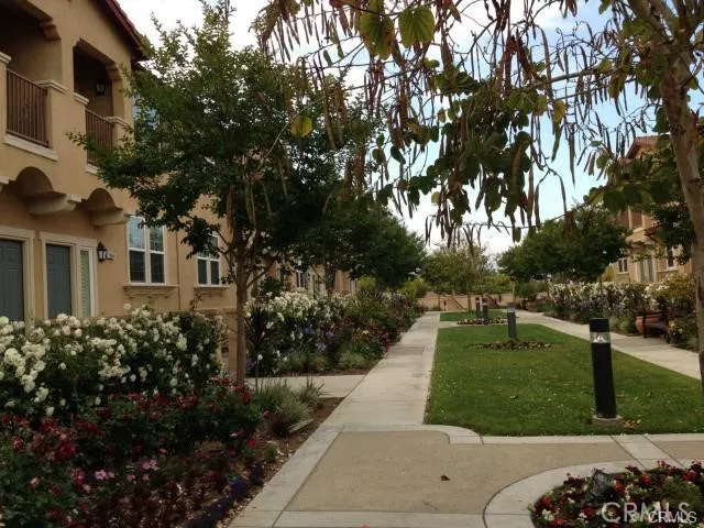 a view of a yard with plants and trees