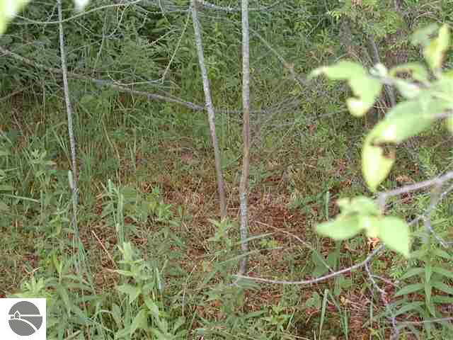 9962 West County Line Road Thompsonville, MI 49683 - Photo 2 of 5