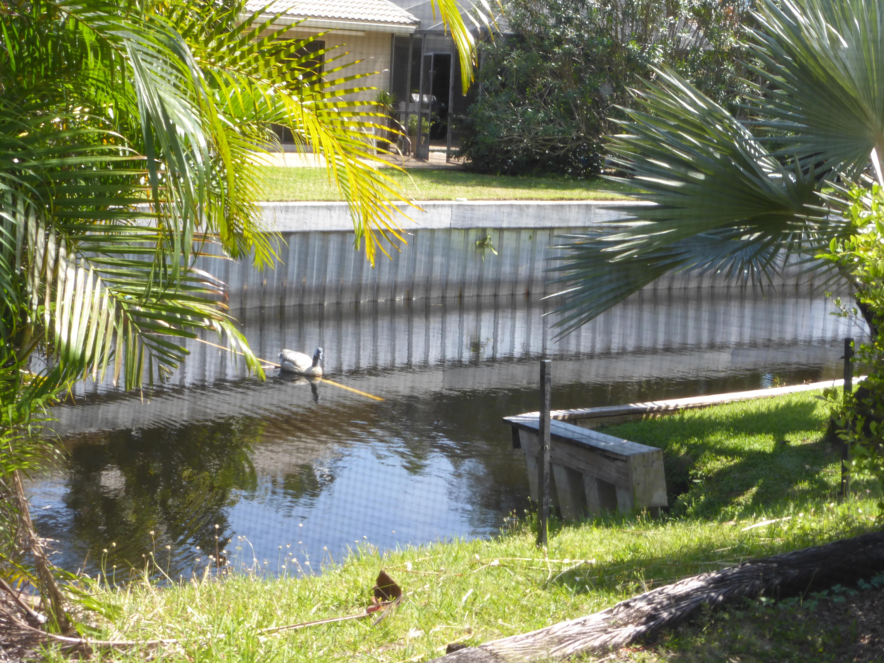 7280 Northwest 4th Avenue Boca Raton, FL 33487 - Photo 23 of 23 Canal