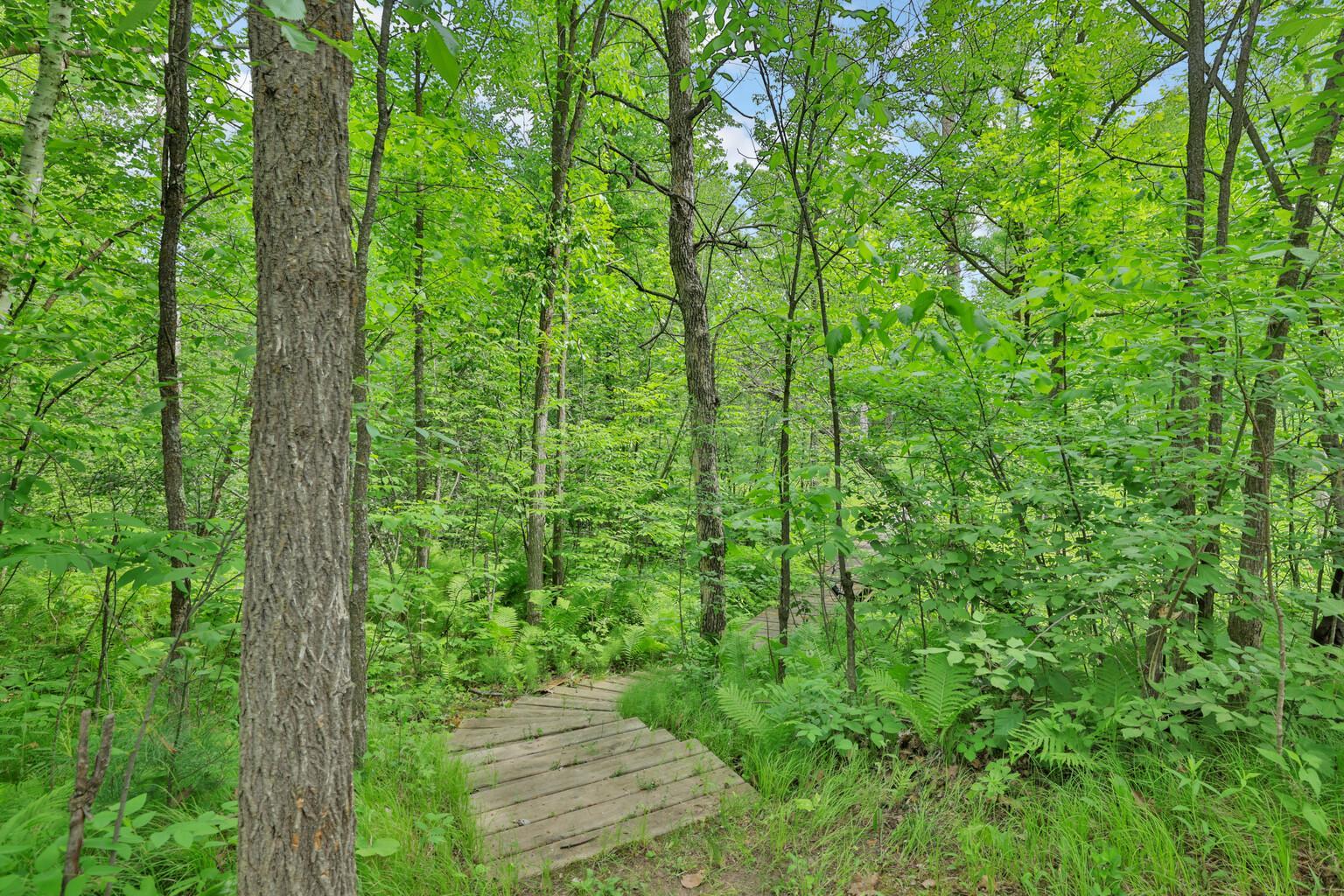 16167 Sunnyside Road Pine City, MN 55063 - Photo 9 of 39
