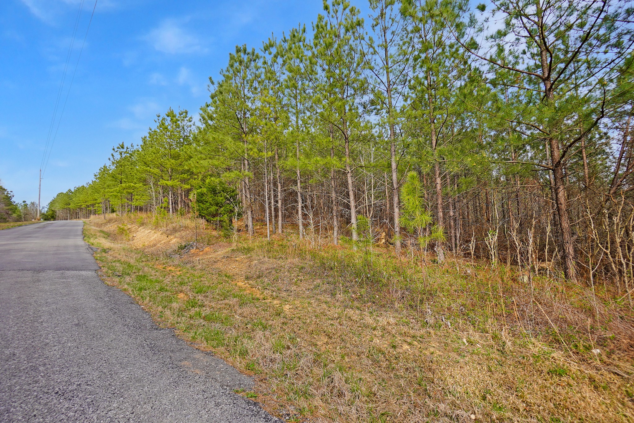 16 Ribbon Branch Road Dover, TN 37058 - Photo 11 of 15 Gallery Image 11