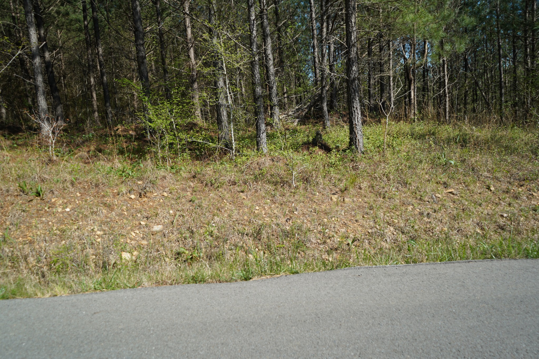 16 Ribbon Branch Road Dover, TN 37058 - Photo 6 of 15 Gallery Image 6