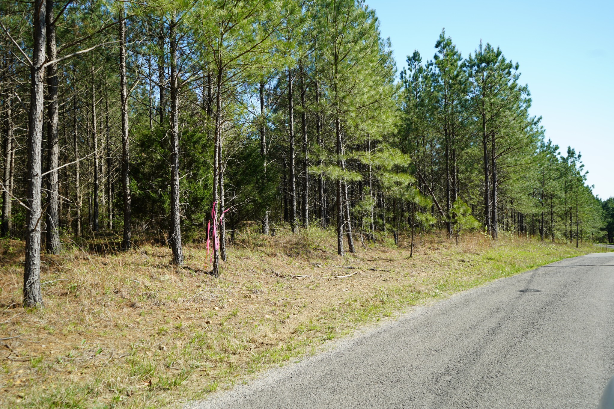 16 Ribbon Branch Road Dover, TN 37058 - Photo 7 of 15 Gallery Image 7