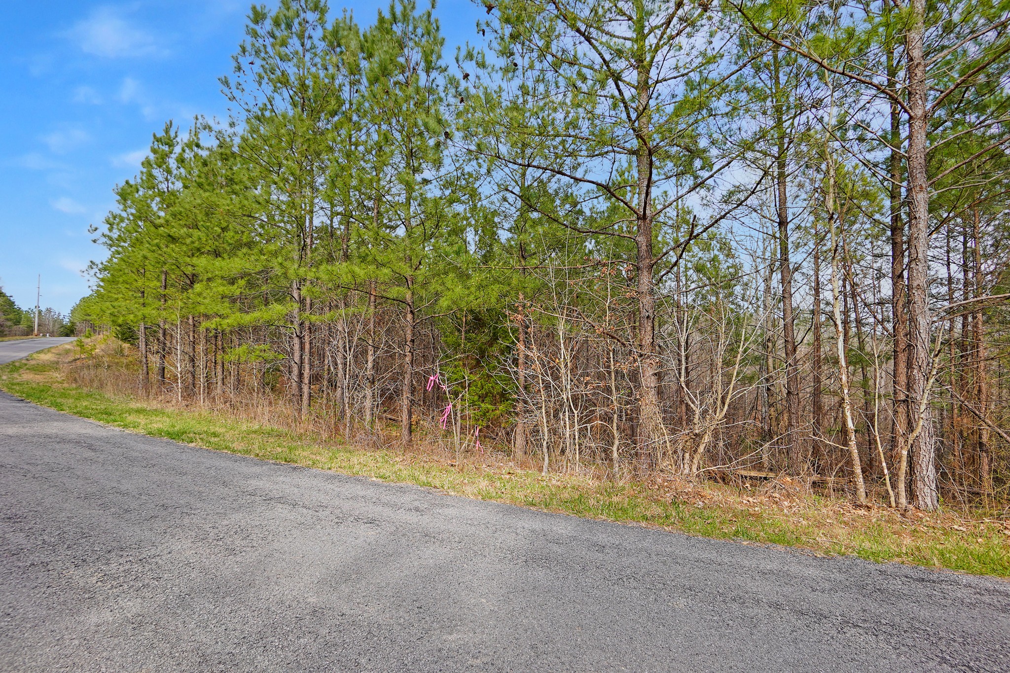 16 Ribbon Branch Road Dover, TN 37058 - Photo 9 of 15 Gallery Image 9