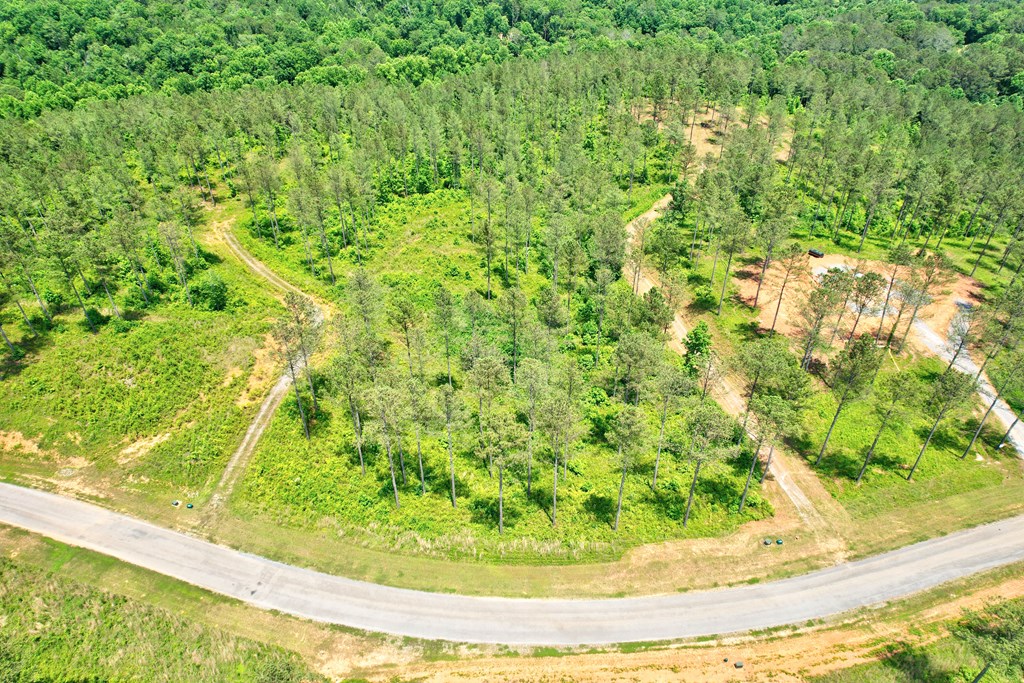 Lot 10 High River Road Ellijay, GA 30540 - Photo 20 of 31 Gallery Image 20