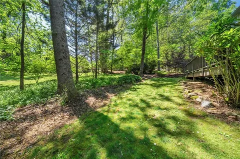 a view of a street with a tree