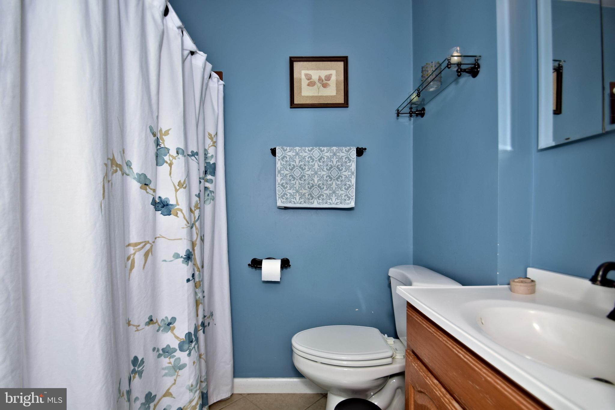 1652 Pembrook Road Ambler, PA 19002 - Photo 18 of 29 Hall Bathroom