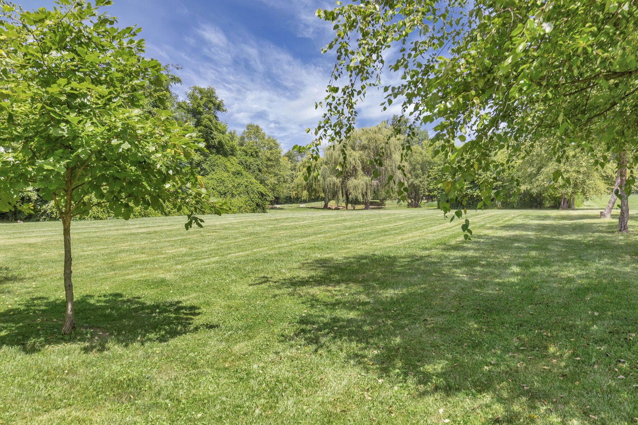 6646 Duffy Road Delaware, OH 43015 - Photo 51 of 61 Back Lot View
