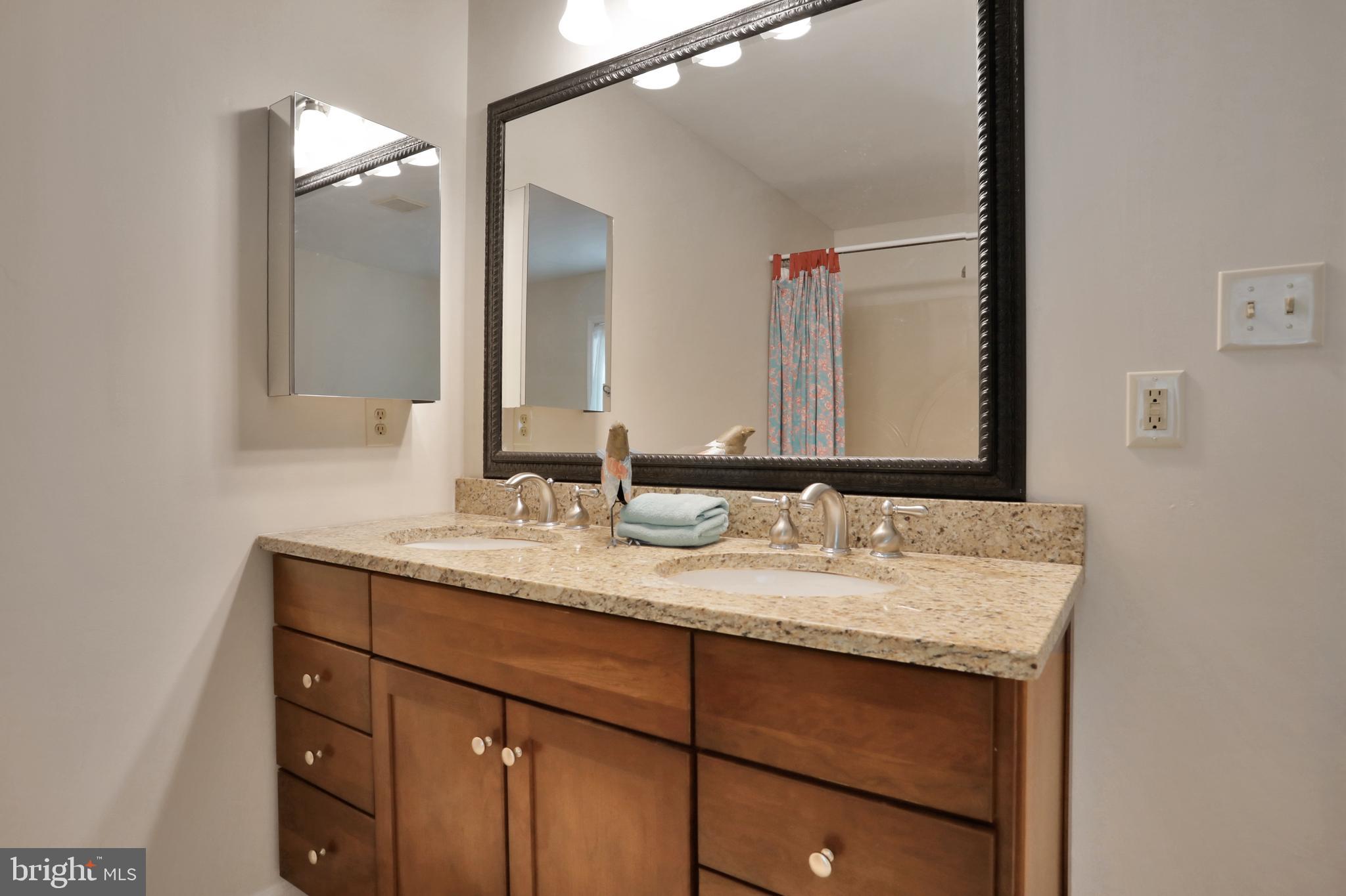 11302 Gambrill Park Road Frederick, MD 21702 - Photo 19 of 66 Master Bathroom