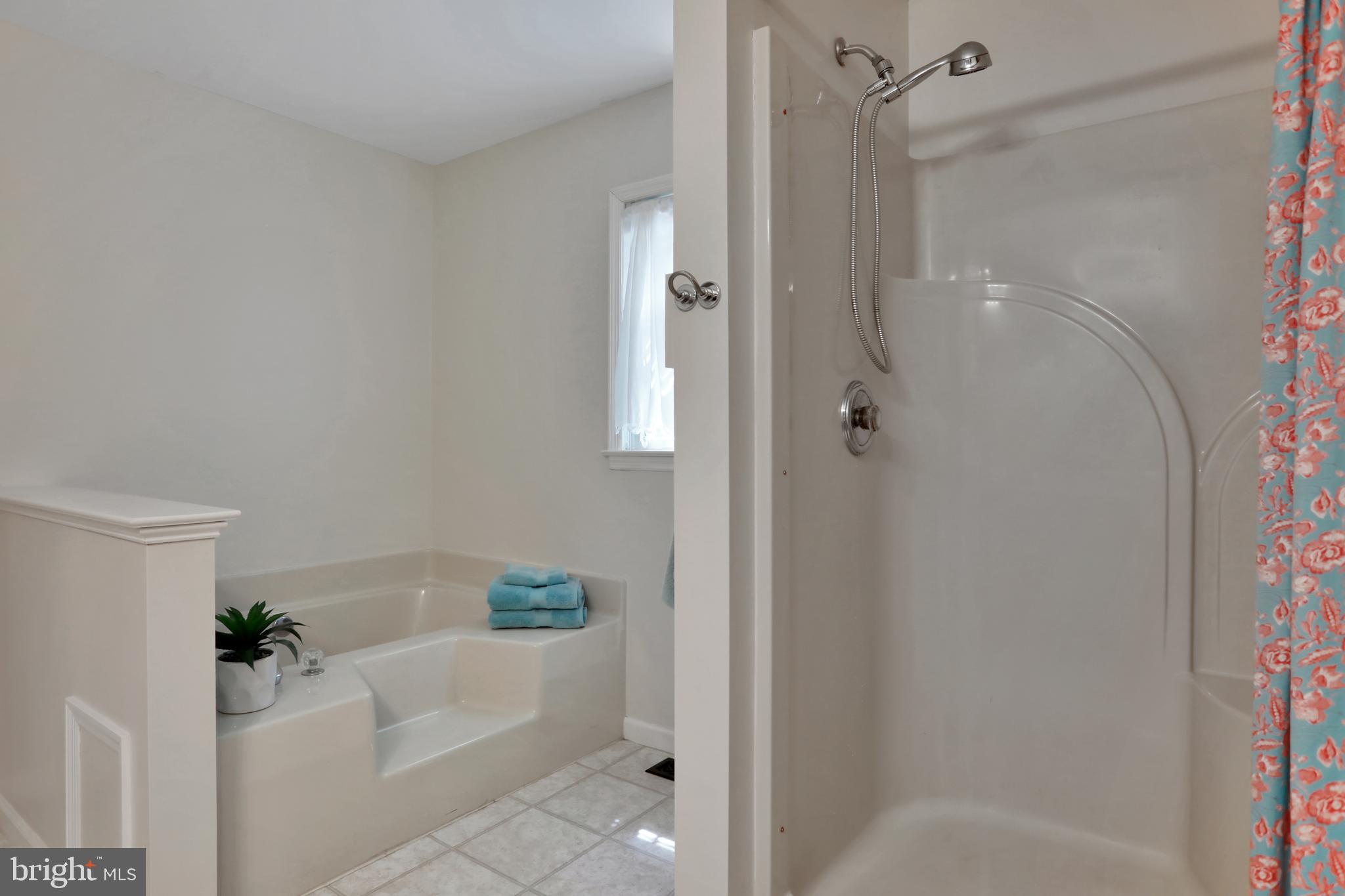11302 Gambrill Park Road Frederick, MD 21702 - Photo 20 of 66 Master Bathroom