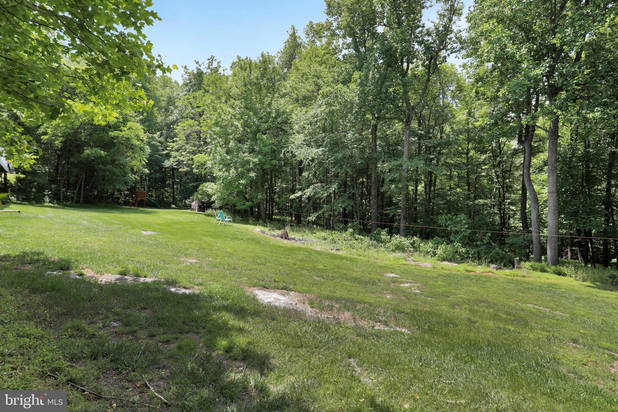 11302 Gambrill Park Road Frederick, MD 21702 - Photo 53 of 66 Rear Yard Space