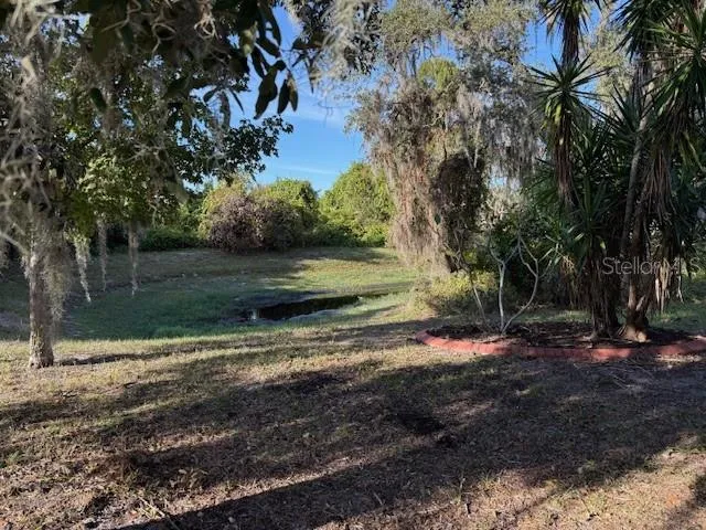 a view of a lush green space
