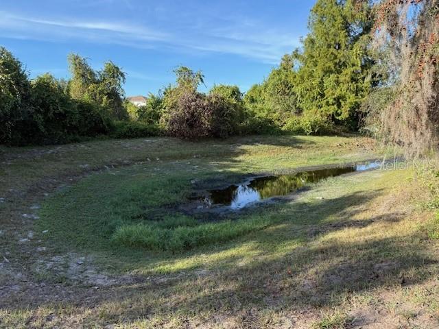 12311 Boot Spur Way Spring Hill, FL 34610 - Photo 21 of 25 a view of a lush green space