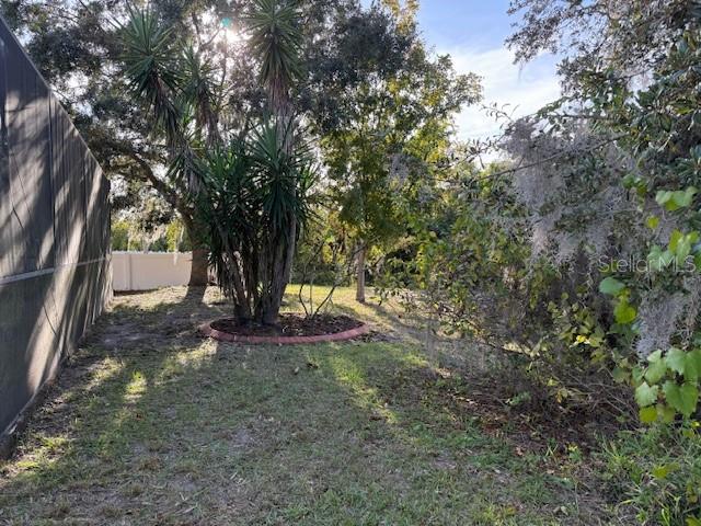 12311 Boot Spur Way Spring Hill, FL 34610 - Photo 22 of 25 a view of a yard with a tree