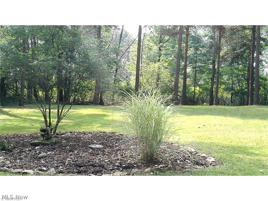 12462 Ridge Road North Royalton, OH 44133 - Photo 25 of 26 Rear Yard