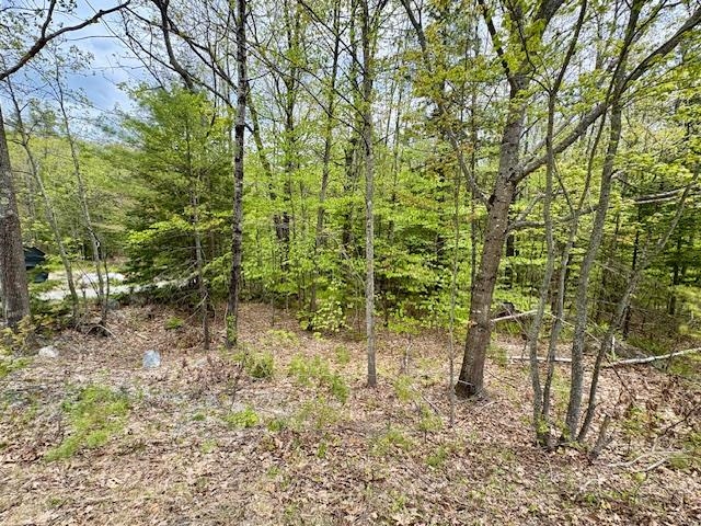 0 Route 114 North Sutton, NH 03260 - Photo 10 of 13
