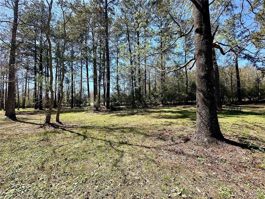 17030 Pine Acres Road Covington, LA 70435 - Photo 5 of 26