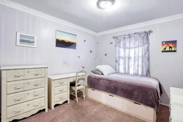 a bedroom with a bed and a dresser