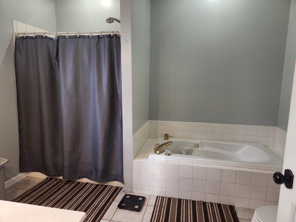 105 Liberty Road Murphy, NC 28906 - Photo 14 of 40 Master Bath w/jacuzzi tub