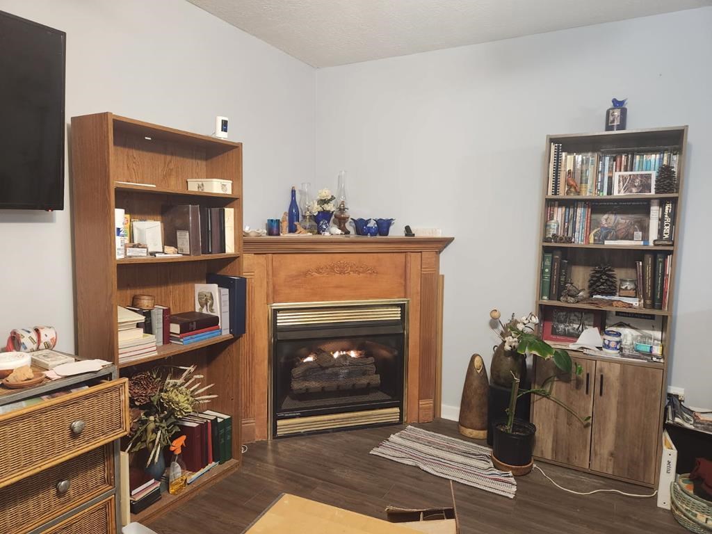 105 Liberty Road Murphy, NC 28906 - Photo 22 of 40 Gas log fireplace in bsmt