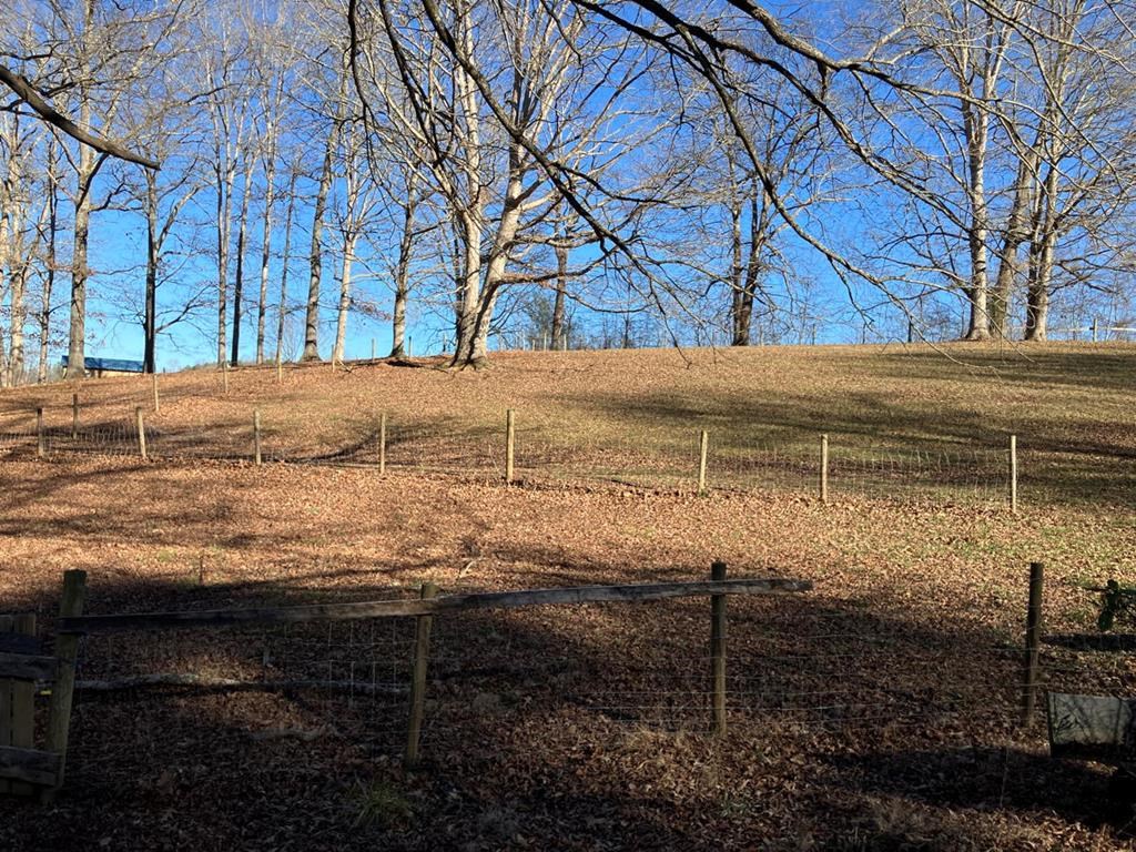 105 Liberty Road Murphy, NC 28906 - Photo 33 of 40