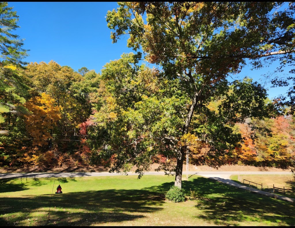 105 Liberty Road Murphy, NC 28906 - Photo 36 of 40